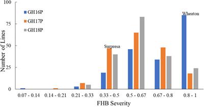 Molecular Mapping of Quantitative Trait Loci for Fusarium Head Blight Resistance in the Brazilian Spring Wheat Cultivar “Surpresa”